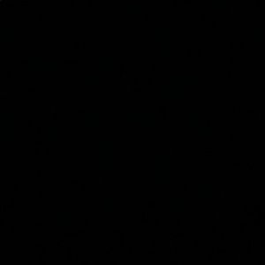 Meet your Posher, Luna